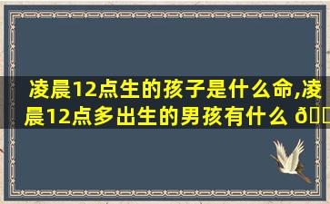 凌晨12点生的孩子是什么命,凌晨12点多出生的男孩有什么 🌷 讲究